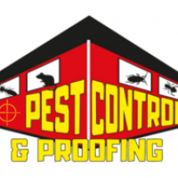 NI Pest Control Proofing